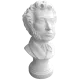Бюст SBT2