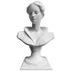 Бюст SBT22
