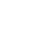 PALMETTE 2