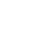 PALLADA 4