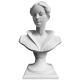 Бюст SBT22